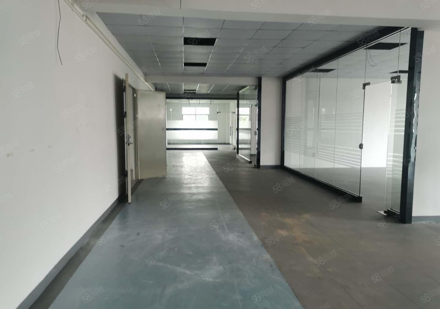 厚街新出原房东1350平方精装修水电齐全