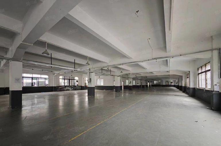 厚街成熟工业区新空出独院一楼标准厂房2500平方低价招租