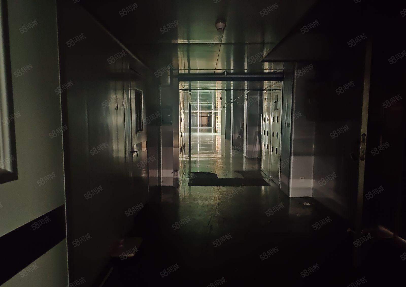 原房东防尘防静电全新厂房出租