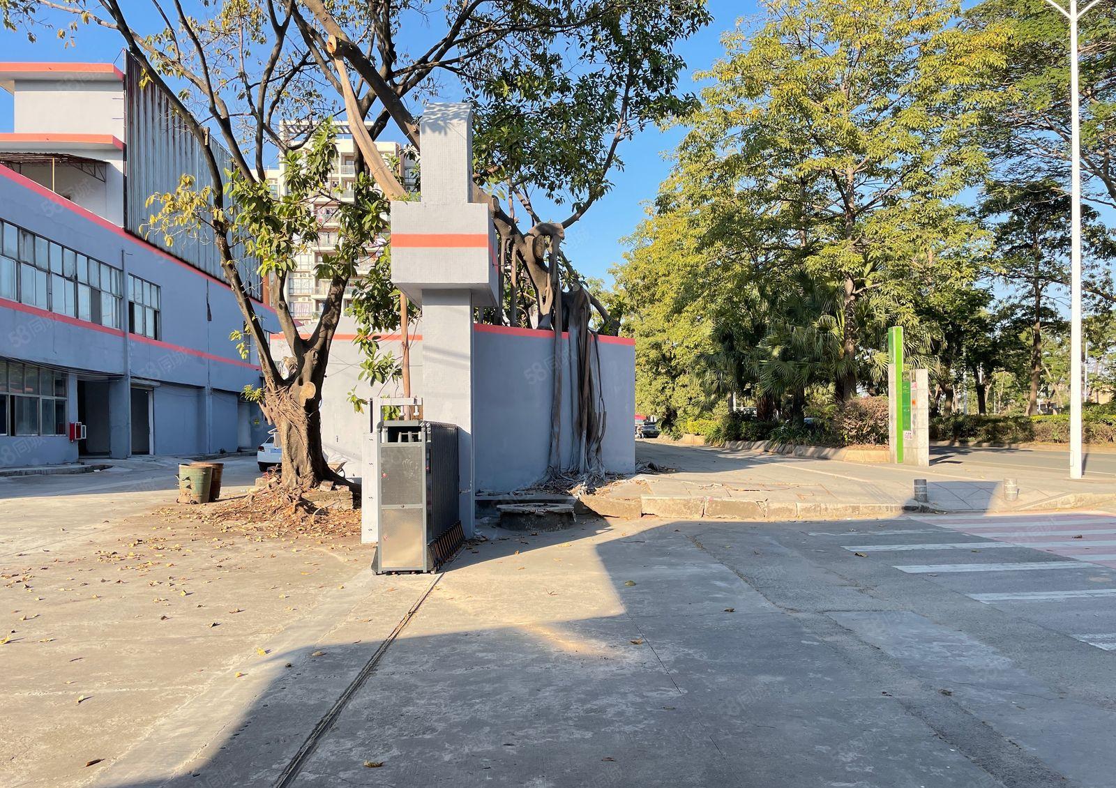 厚街独院1.2楼共6000方低价厂房出租四面采光合同十年