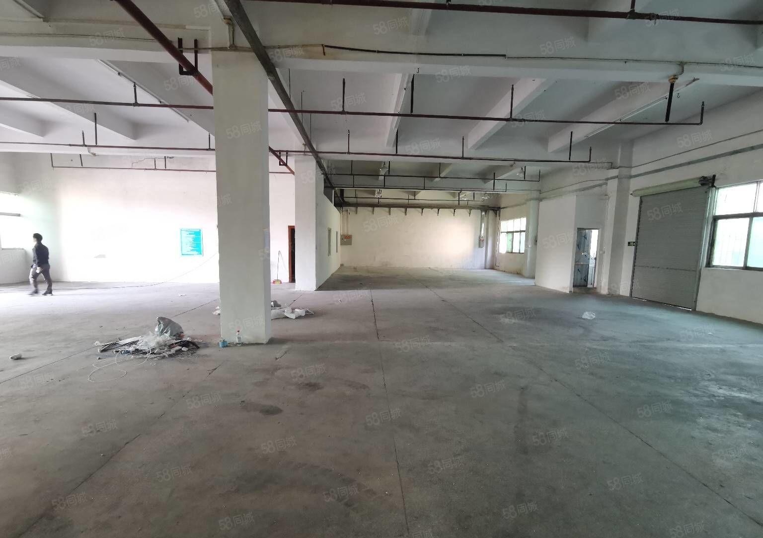 厚街工业园区一楼650平，有消防喷淋，环评秒过，实际面积出租