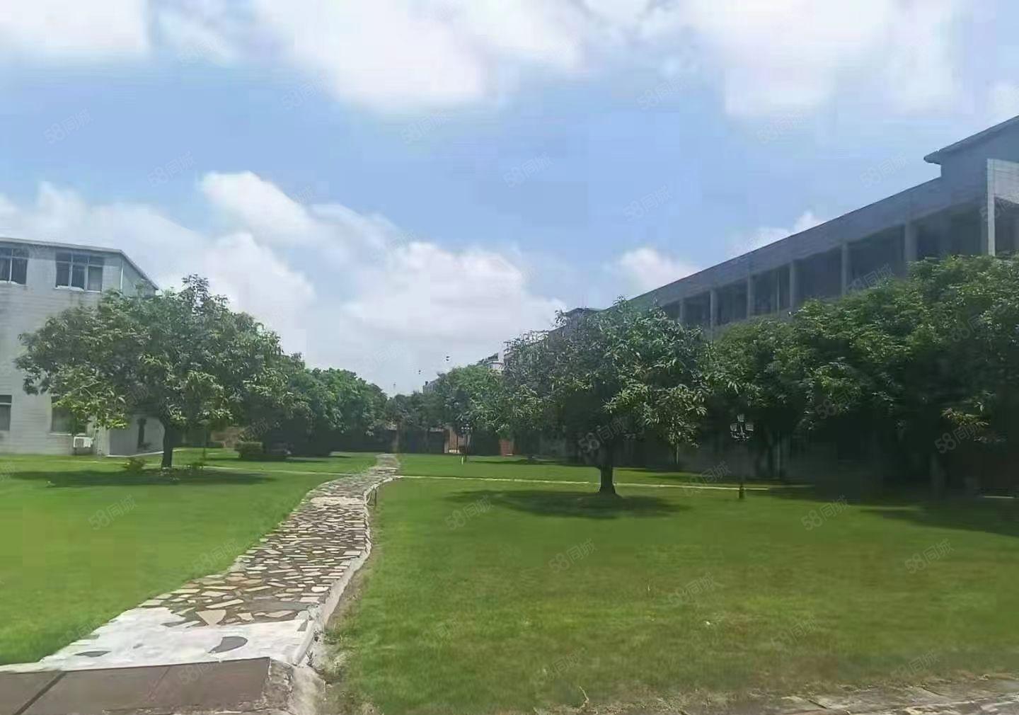 花园式上市公司形象厂房出租，超大空地个人厂房，环评环保可办