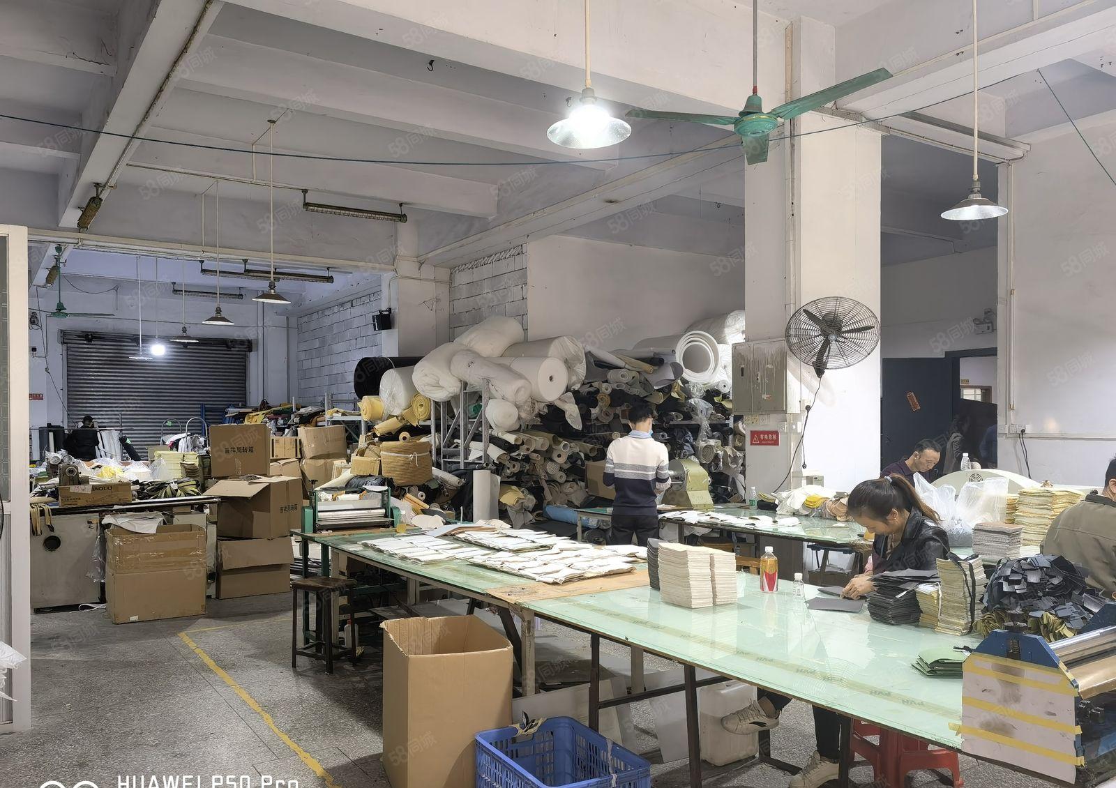 厚街镇西环路边新出独栋标准厂房单层800平方全新两吨货梯