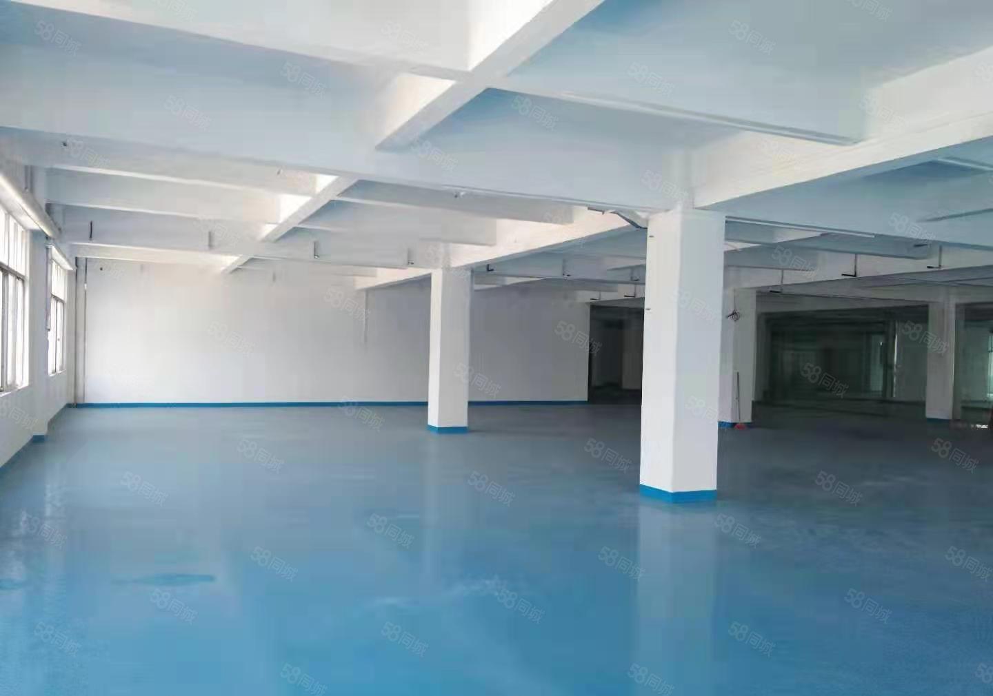 厚街花园式一楼厂房仓库出租3360平方大小可分租靠近高速路口