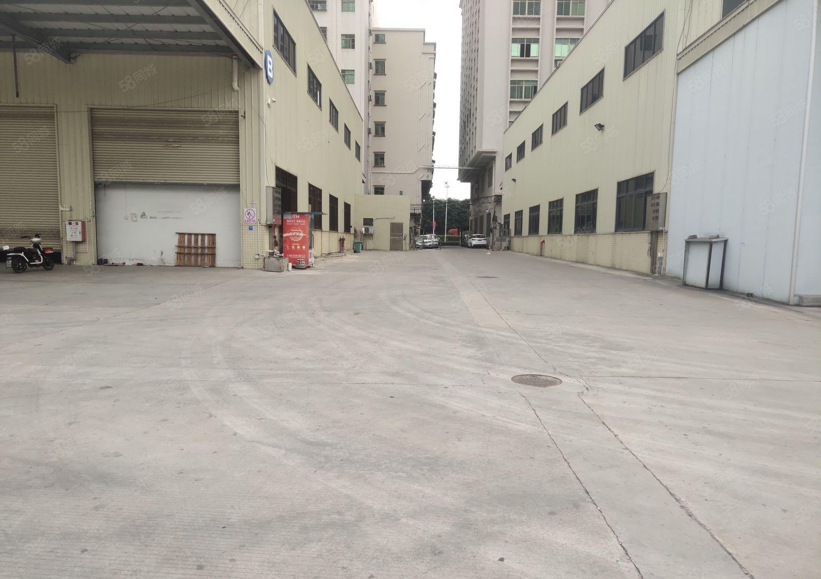 厚街溪头靠近白濠2700平单一层钢构厂房出租 滴水9米空地大