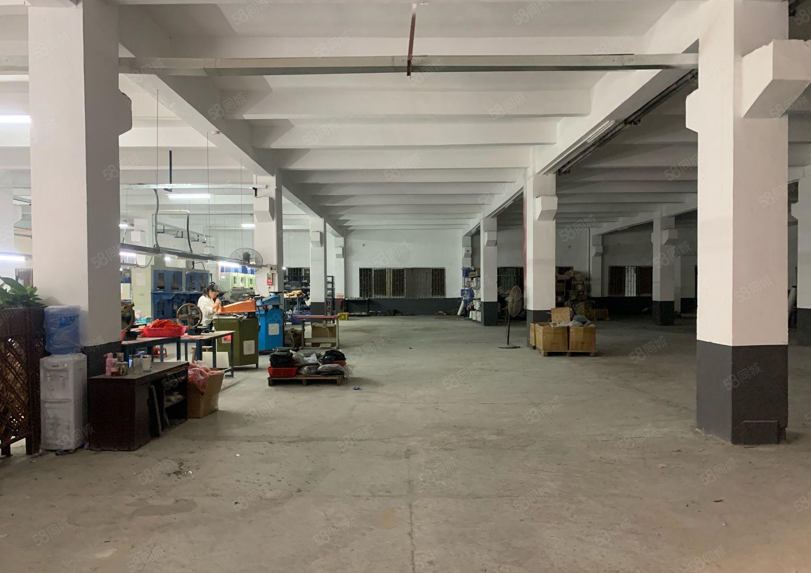 厚街工业园区一楼精装修800平方厂房仓库出租