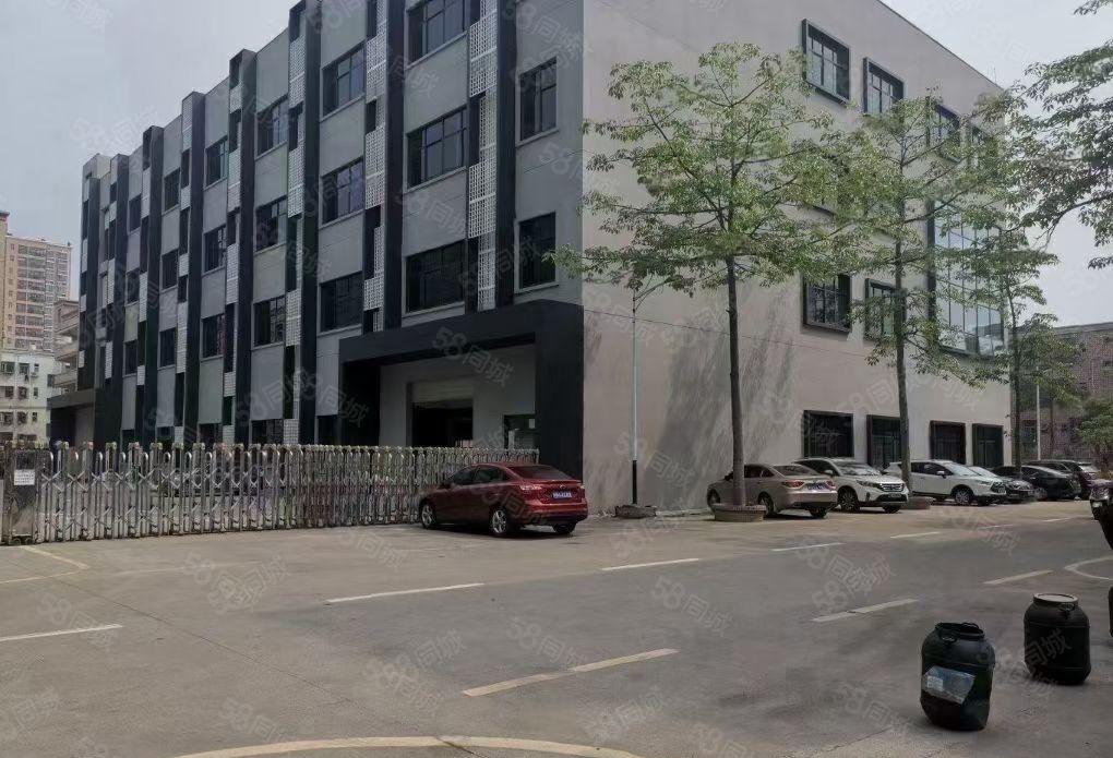 厚街溪头原房东1300平厂房出租精装修水电齐全