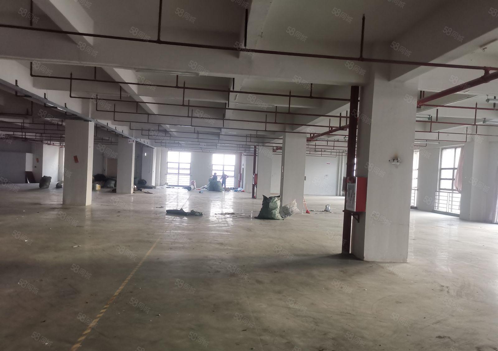 厚街新出花园式厂房楼上分租一层3000平方招租水电齐全有装修