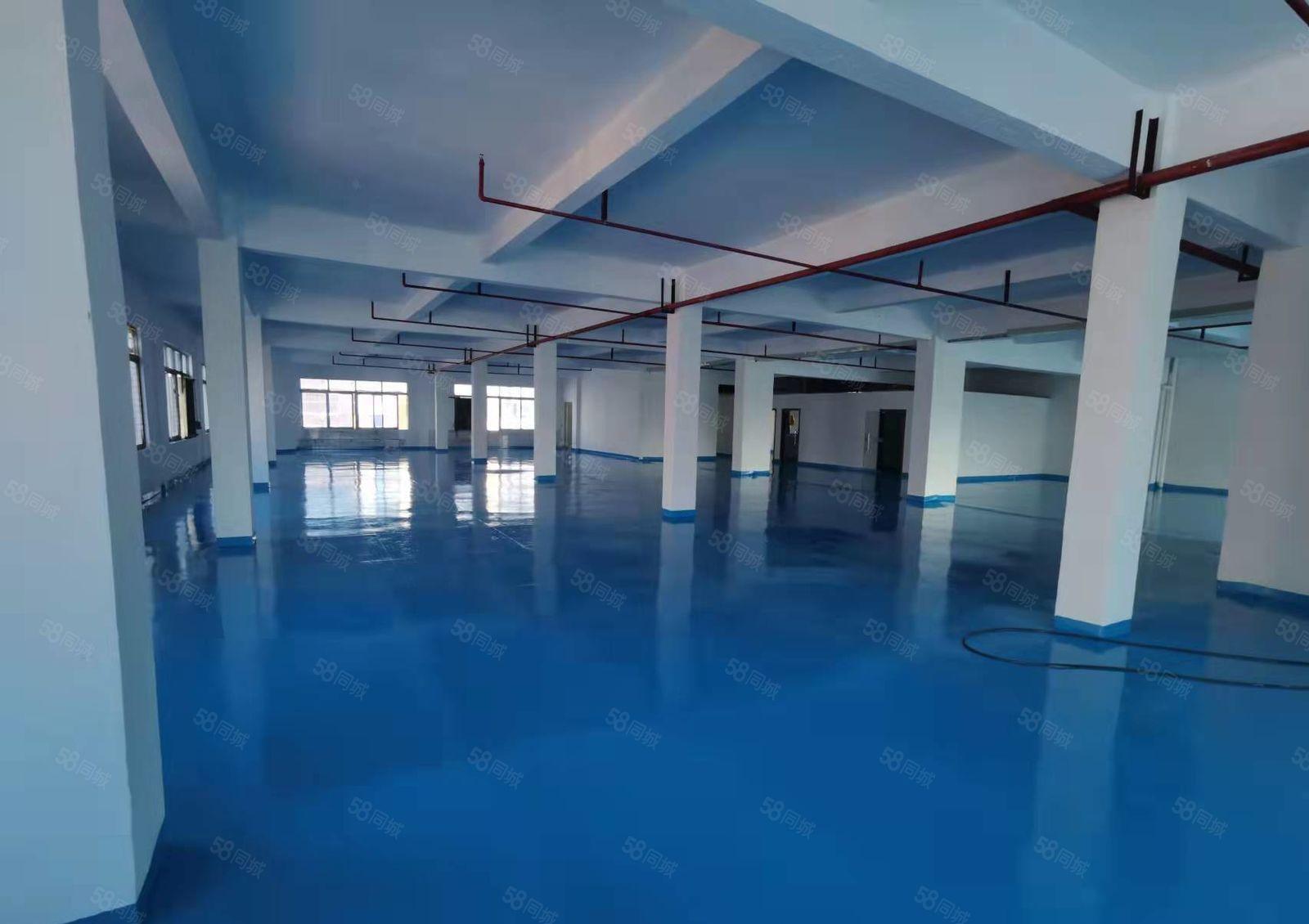 厚街桥头原房东厂房1200平没公摊，2吨货梯，现成地坪漆