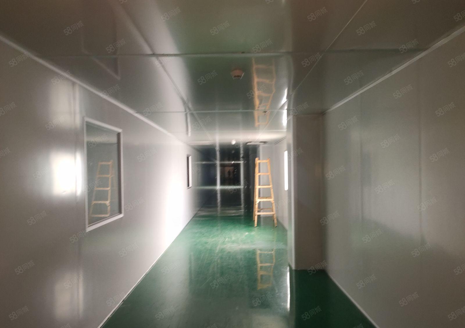 原房东防尘防静电全新厂房出租