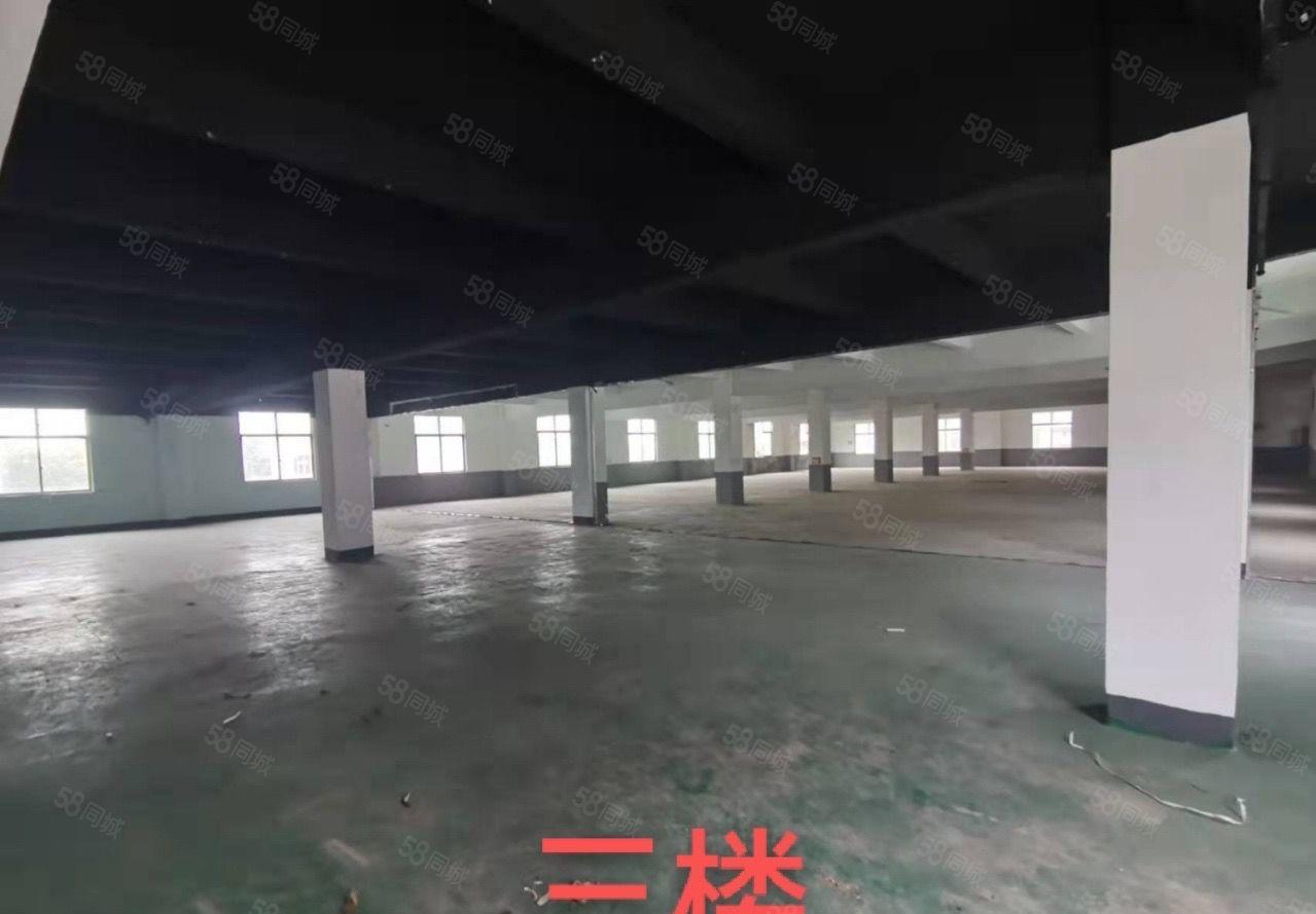 厚街镇涌口村原房东独院