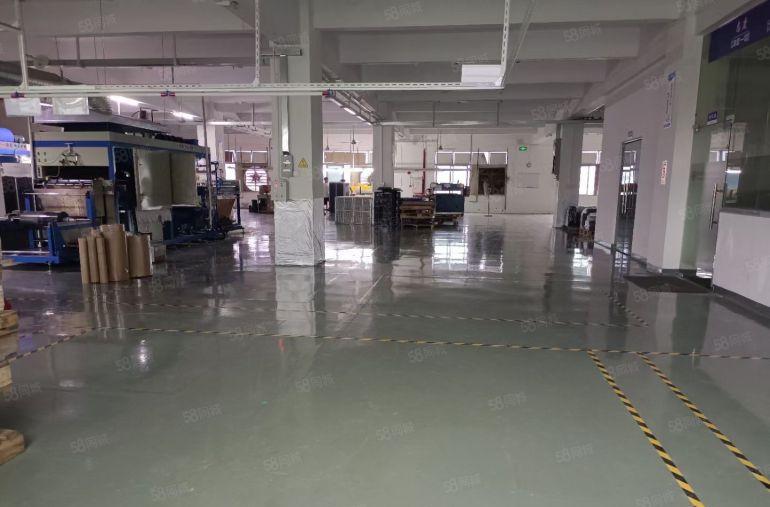 厚街（豪华装修）水电齐全1600方厂房仓库出租