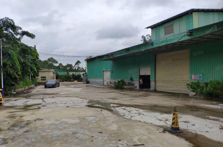 可分租厚街独门独院4000平钢结构厂房单一层厂房出租仓库出租