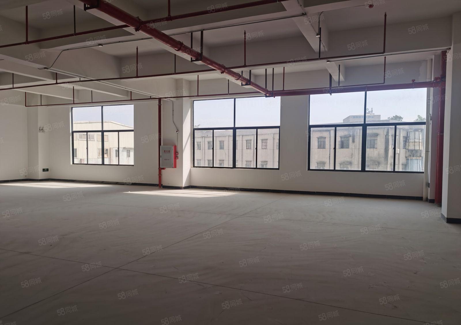 红本园区形象好标准厂房