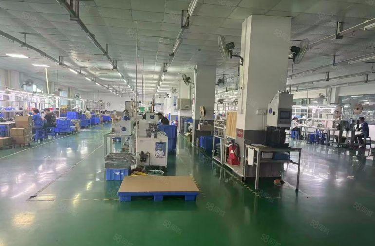 独门独院厂房出租一楼5.5米行业不限制，带有环评空地3000