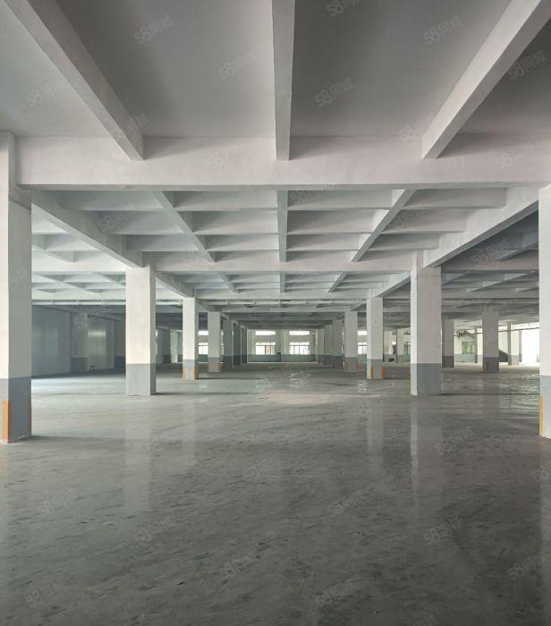 出租厚街形象好的单一层独院厂房，全新精装修车间，空地大好停车