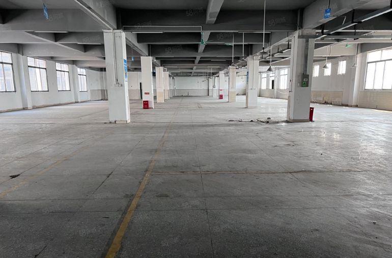 厚街全新独门独院可办环评厂房出租