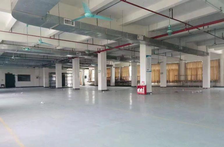 厚街独院厂房四层6000方，办公楼三层1000方可分租