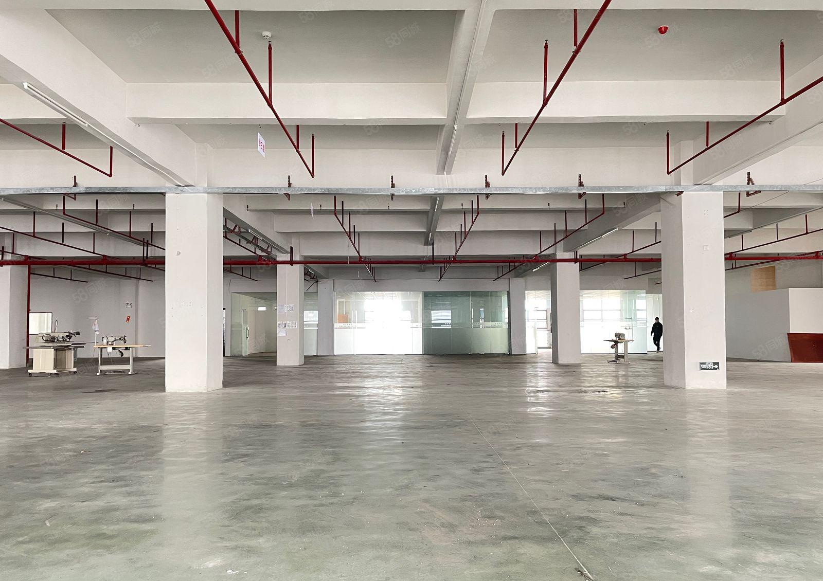 年前钜惠！厚街全新独院21000方厂房出租全新内外装修