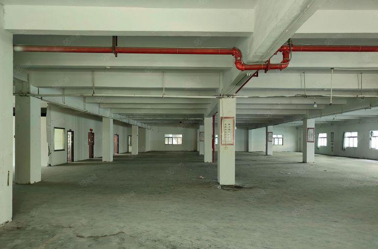 原房东标准独院厂房出租 交通便利 适合鞋材 五金 设备 电子