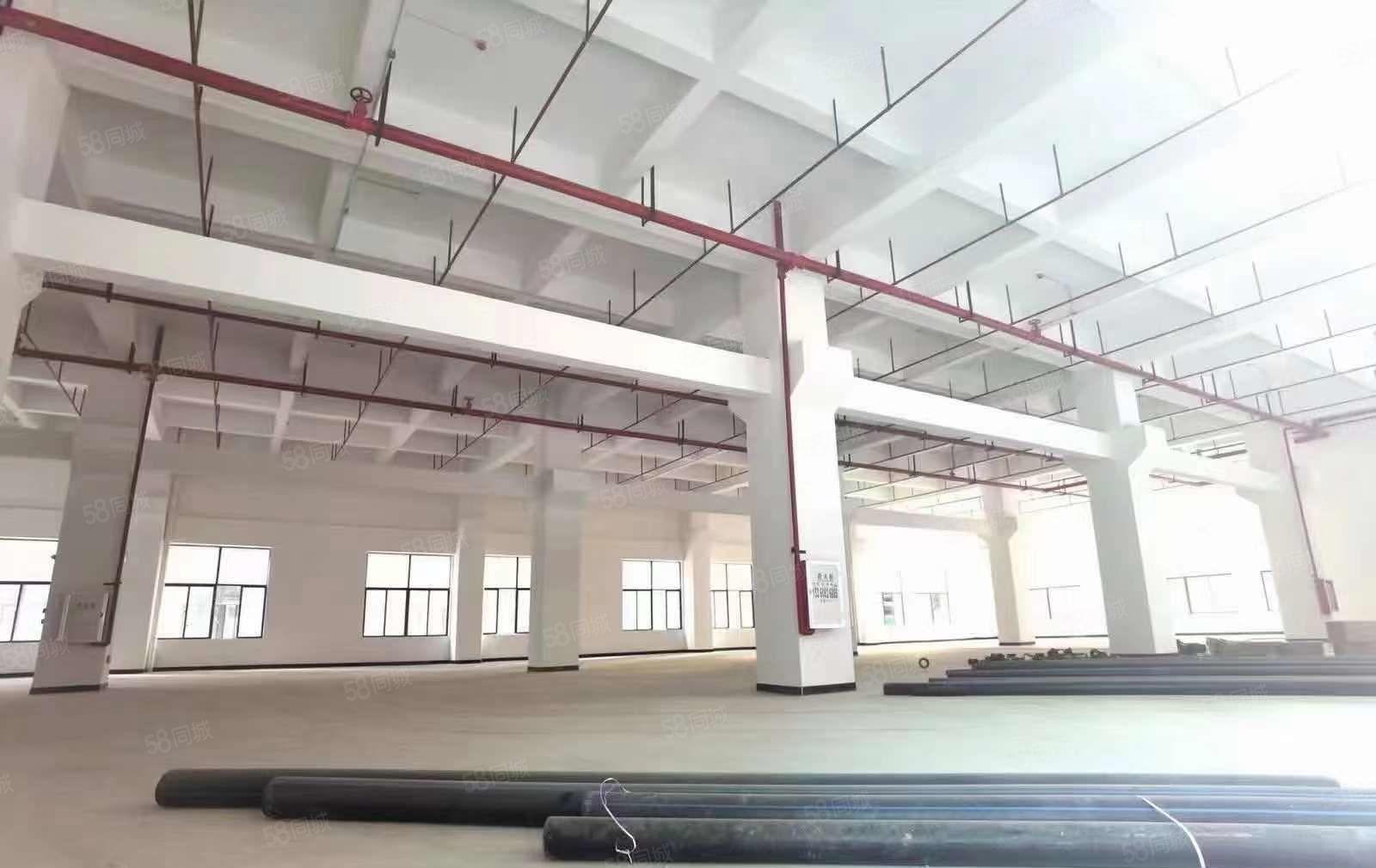 厚街全新独院重工业厂房 层高7米带牛角