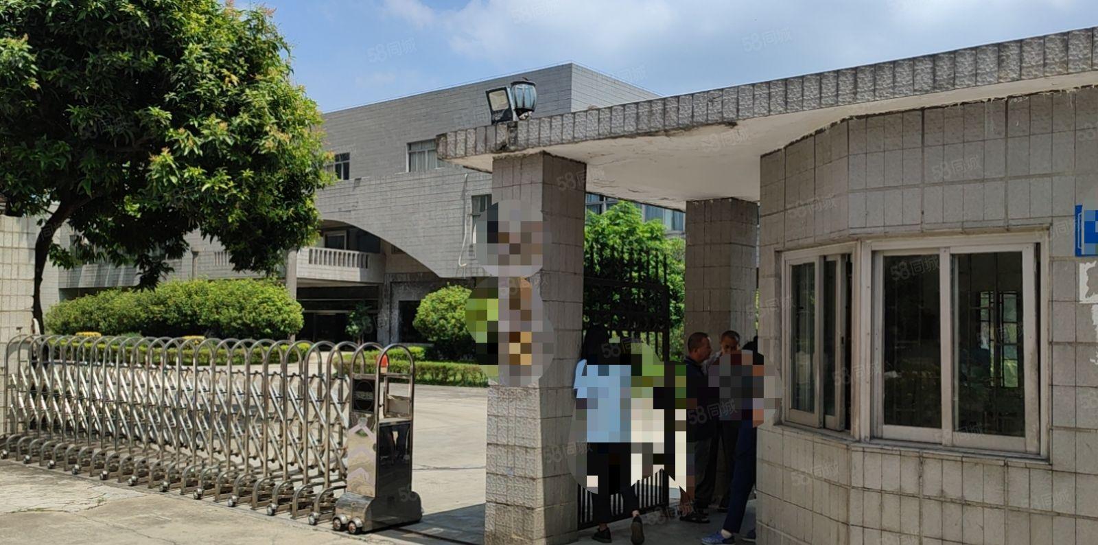 花园式上市公司形象厂房出租，超大空地个人厂房，环评环保可办