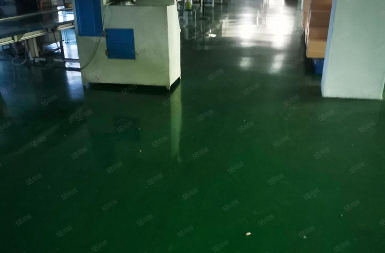 原房东厚街低价厂房一整层1800平方，精装修水电齐全