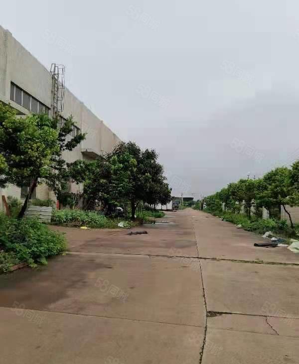 独门独院3250 砖混厂房出租层高10米 跨度24米 独院