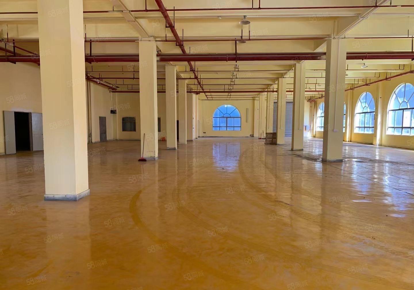 东莞新出花园式原房东厂房3880平方滴水10米出租