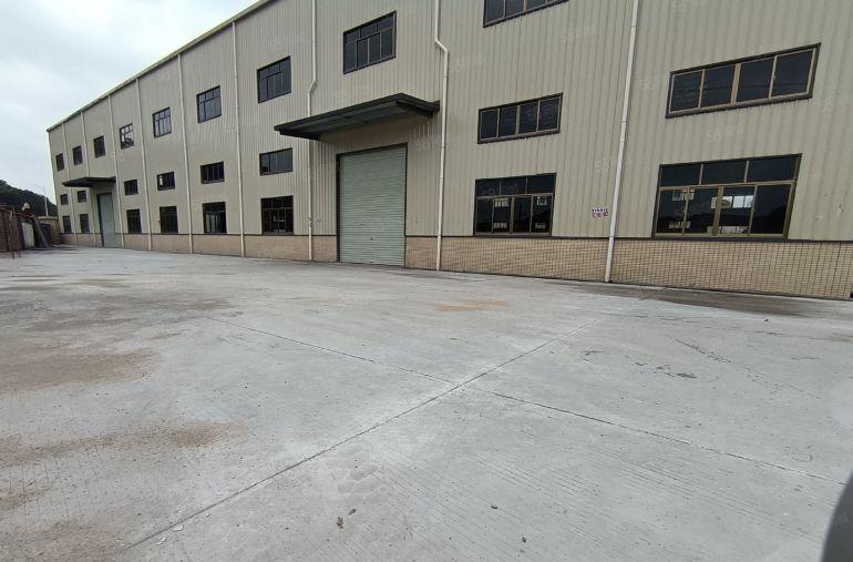 村长的厂房出租，厚街镇3500平方单一层钢结构12米厂房出租