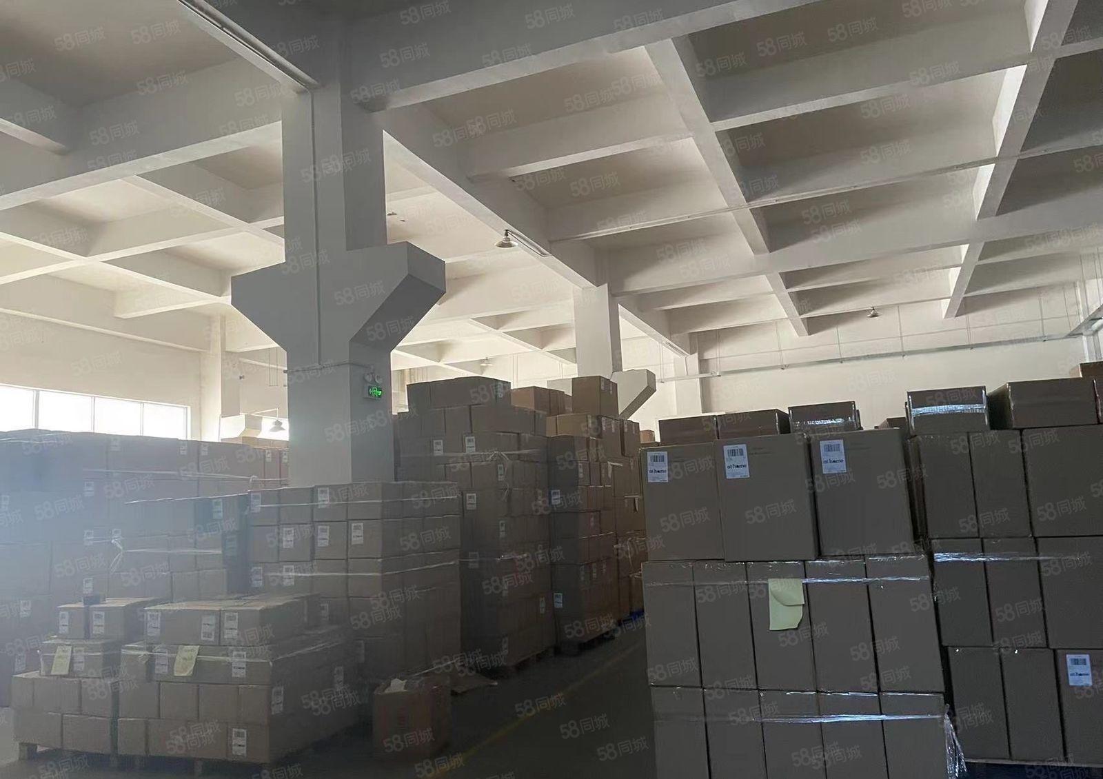 厚街汀山一手房东一楼1500平方高7米带牛角厂房出租超大空地