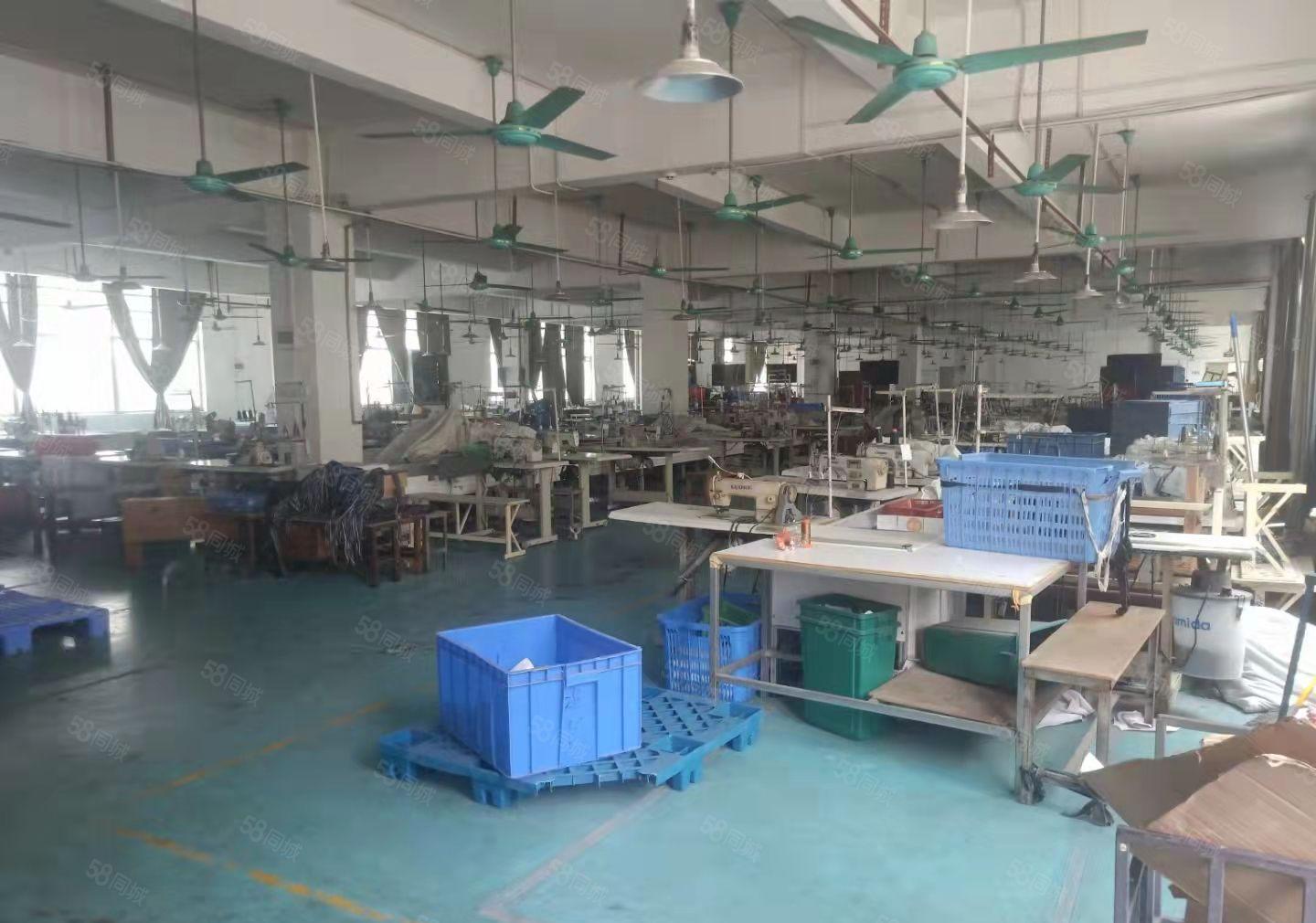 独栋厂房仓库出租1500平方450起分租水电线路齐全靠大马路