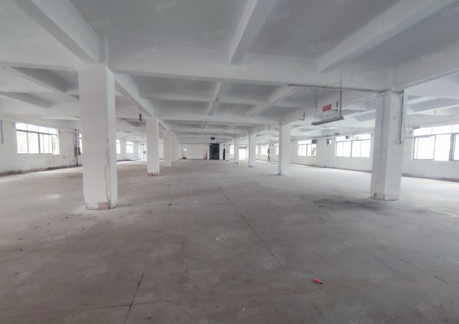 厚街镇高速出口附近原房东独门独院标准厂房出租4800平米