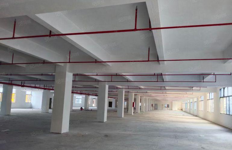 厚街独院厂房招租|地铁口物业直租|独院厂房