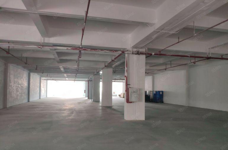 可分租！厚街赤岭楼上3000平厂房出租仓库出租