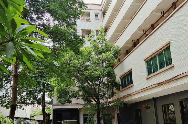 东莞厚街镇独门独院原房东厂房出租，行业不限制，有现成家具环评