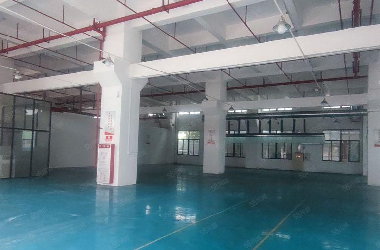 厚街镇厚街村全新花园厂房3200平一楼低价出租