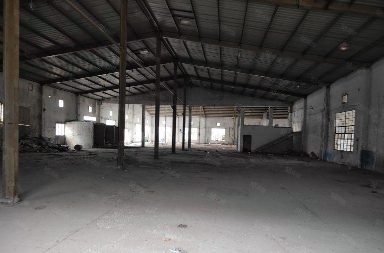 厚街单一层钢构厂房 适合家具 仓库 设备 机械 展厅