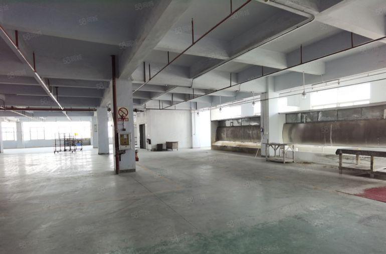 原房东独门独院带家具环评带油房35000平低价厂房出租形象好