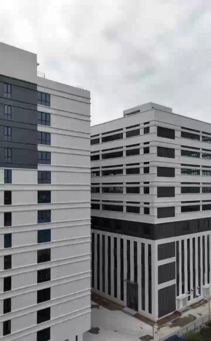 厚街镇1000平方红本厂房出租精装修带消费喷淋可分租