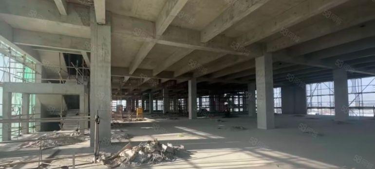 厚街全新高标厂房15起招商中含税随时可参观便利可环评