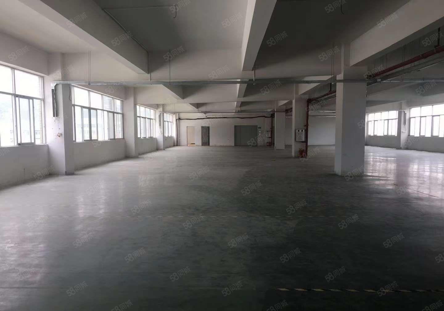 厚街原房东独院厂房1至3F6000方好空地大工业用地