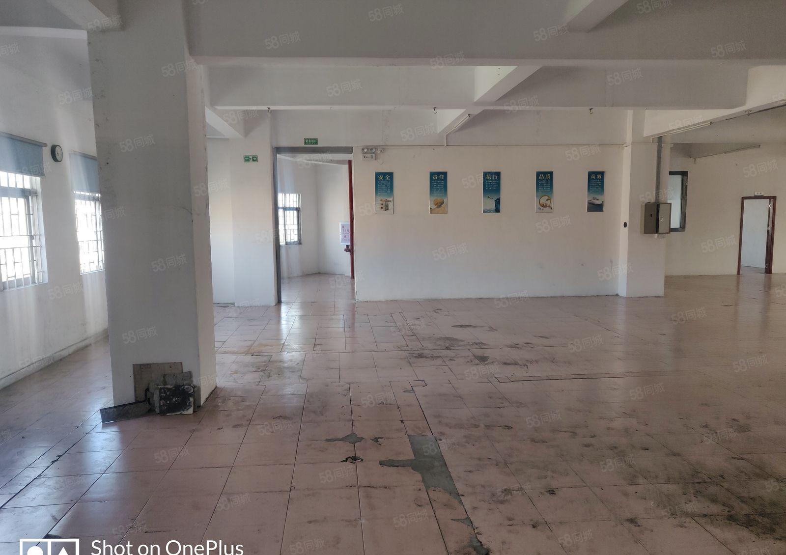 厚街村新出厂房5楼700平，路超大随意进车，价格美丽