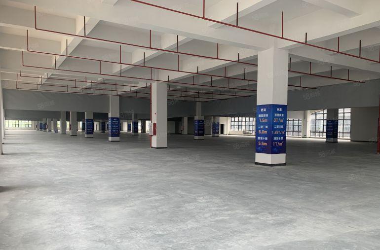 红本怡昌智慧谷湾区产业革新 智造赋能未来厂房正火热招商中