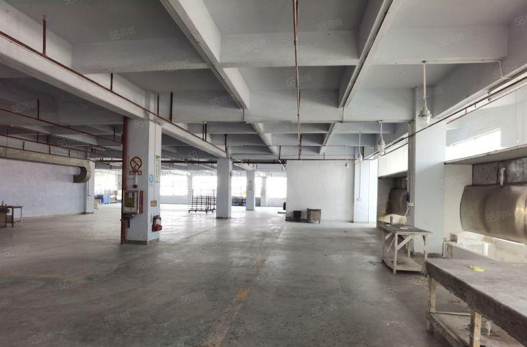 原房东独门独院带家具环评带油房35000平低价厂房出租形象好