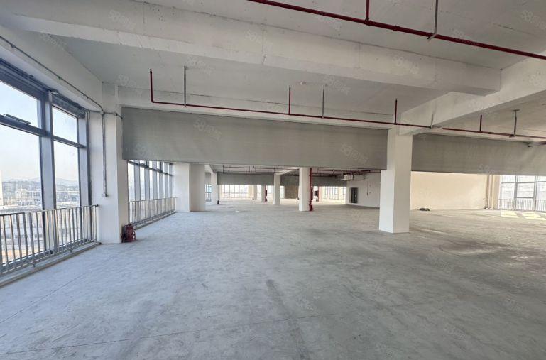 厚街全新红本标准厂房，交通便利，临近高速口12元起租。