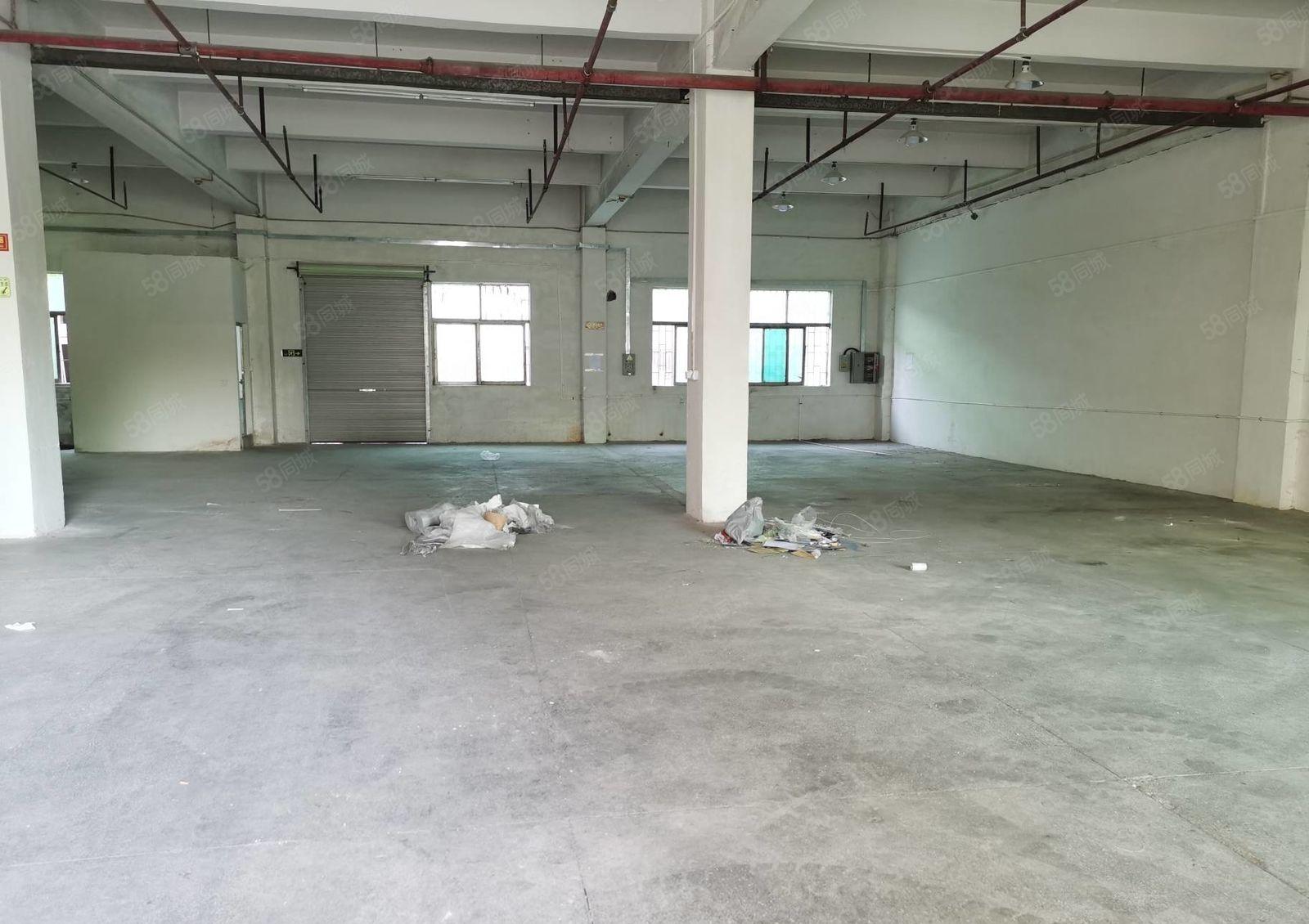 厚街工业园区一楼650平，有消防喷淋，环评秒过，实际面积出租