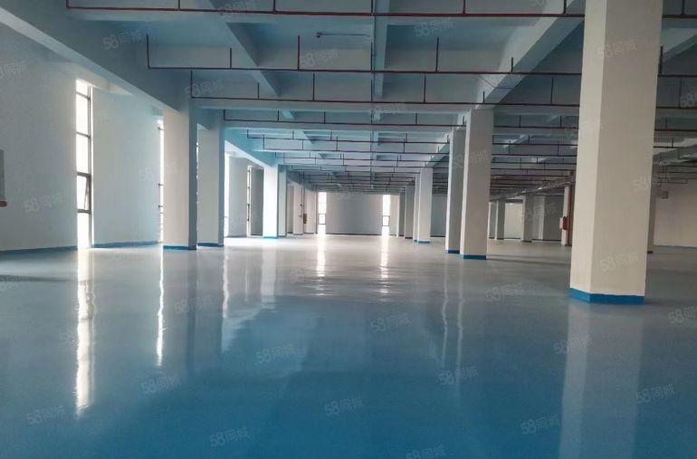 厚街镇 厚街村楼上全新厂房1000平起分租金9块带装修