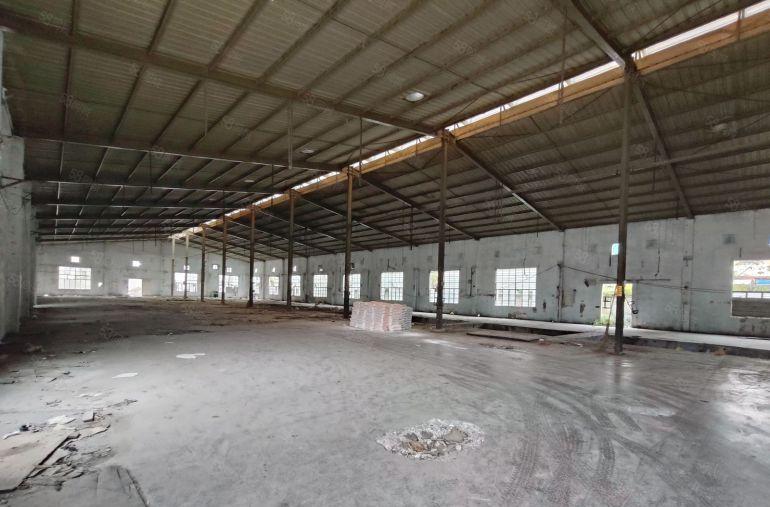 厚街单一层钢构厂房 适合家具 仓库 设备 机械 展厅