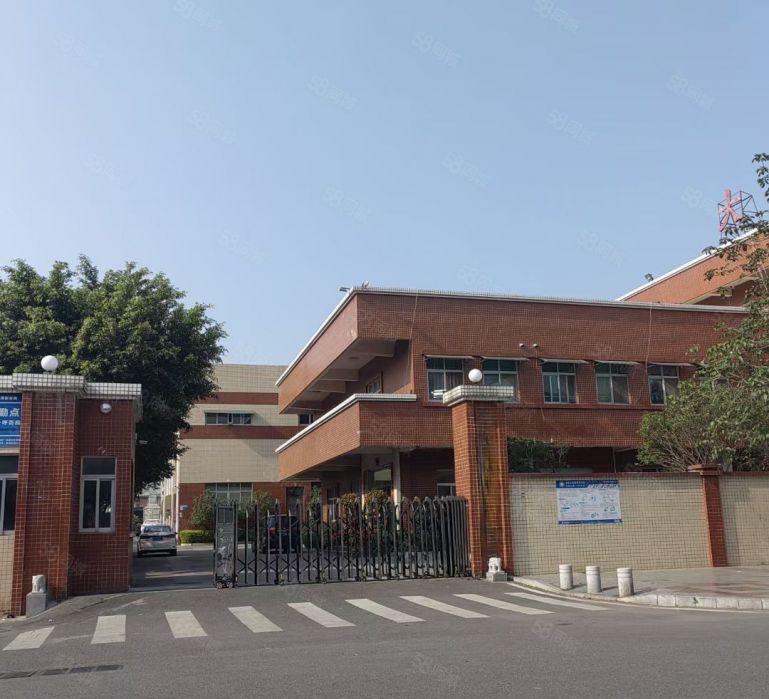 厚街 三屯原房东砖墙带顶单一层独院滴水8米空地大形象好